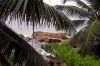 Dateiname : 0001_Seychellen_Internet_2008.JPG
Dateigröße : 628KB
Abmessungen : 1024x683
hinzugefügt am : 09.März 2008 0001_Seychellen_Internet_2008.JPG