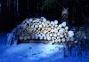 0005_Schwarzwald_Internet_2008.JPG