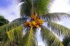 Dateiname : 0019_Seychellen_Internet_2008.JPG
Dateigröße : 774KB
Abmessungen : 1024x683
hinzugefügt am : 09.März 2008 0019_Seychellen_Internet_2008.JPG